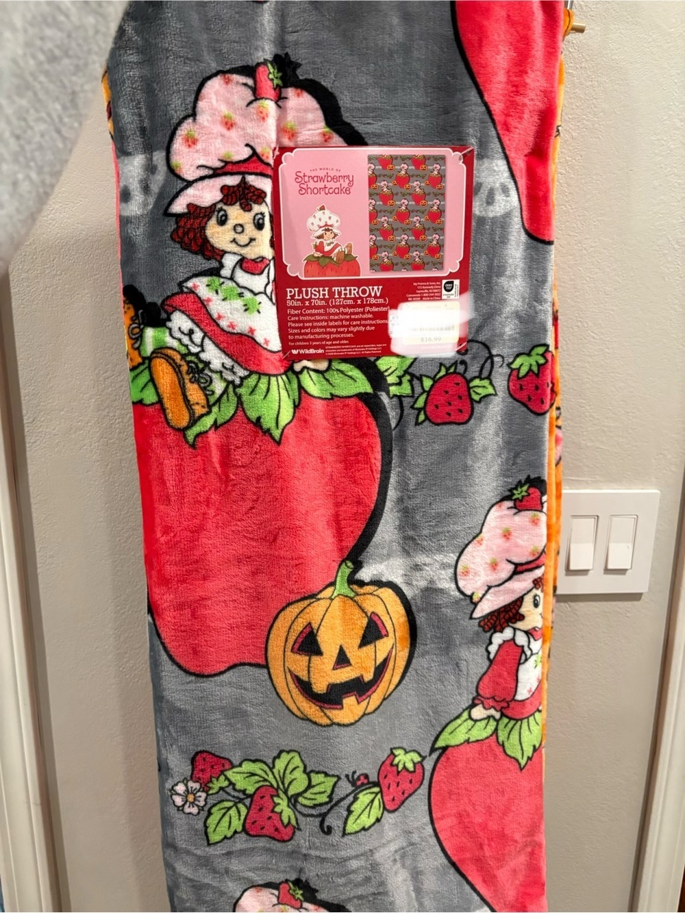 Strawberry Shortcake Gray Plush Halloween Blanket 50 x 70 New for 2026